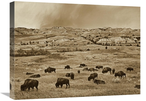 Global Gallery GCS-395916-1824-142 18 x 24 in. American Bison Herd Gra