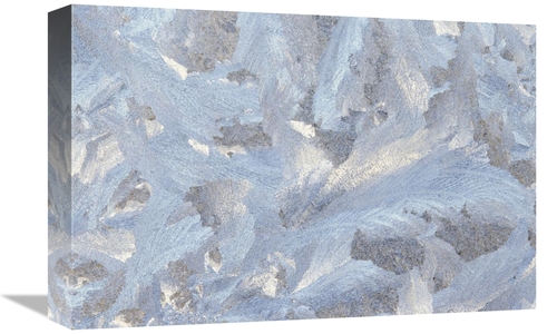 Global Gallery GCS-452845-1218-142 12 x 18 in. Frost Crystal Formation