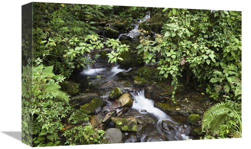Global Gallery GCS-452664-1218-142 12 x 18 in. Creek Flowing Through R