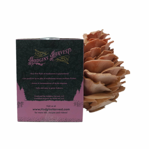 Organic Pink Oyster Mushroom Grow Kit