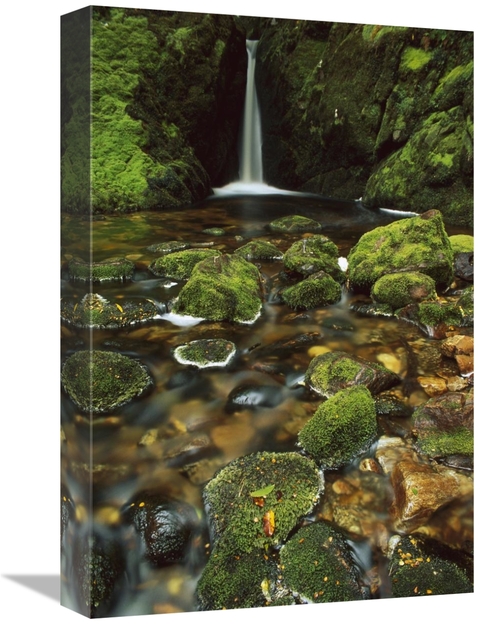 Global Gallery GCS-453505-1218-142 12 x 18 in. Mossy Stream Near Loch 