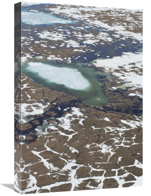 Global Gallery GCS-395503-1624-142 16 x 24 in. Aerial View of Tundra P