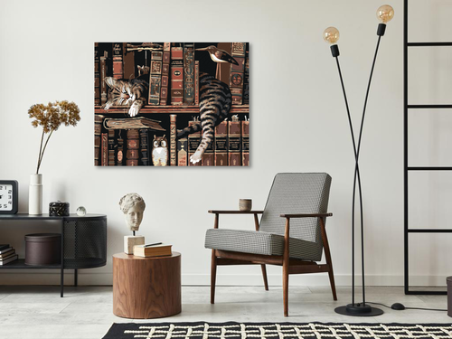 Paint by Numbers - CAT IN THE LIBRARY