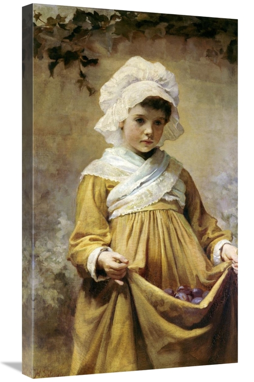 Global Gallery GCS-268569-30-142 30 in. Gathering Plums Art Print - Ha