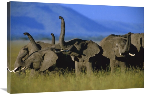 Global Gallery GCS-396209-2436-142 24 x 36 in. African Elephant Herd S