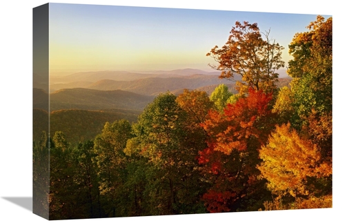 Global Gallery GCS-396680-1216-142 12 x 16 in. Blue Ridge Mountains Fr