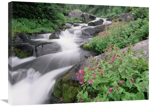 Global Gallery GCS-396995-2432-142 24 x 32 in. Paradise River Surround