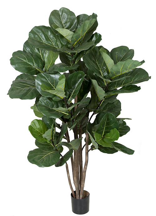 Autograph Foliages WR-160030 68 in. Fire Retardant Fiddle Leaf Tree&#4