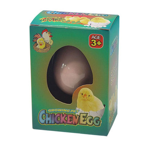 Fun Kids Novelty Hatching Chicken