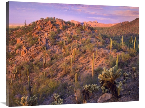 Global Gallery GCS-395942-3040-142 30 x 40 in. Panther & Safford Peaks