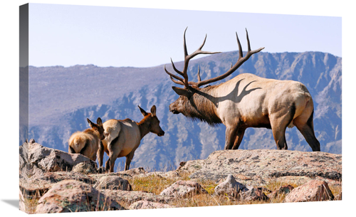 Global Gallery GCS-486451-30-142 30 in. The Guardian Art Print - Vic S