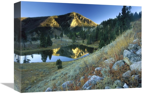 Global Gallery GCS-397176-1216-142 12 x 16 in. Bunsen Peak, An Anc