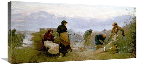 Global Gallery GCS-266795-30-142 30 in. Sedge Cutting in Wecken Fen&#4