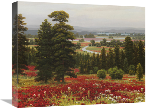 Global Gallery GCS-132470-1620-142 16 x 20 in. Blooms Above the Valley