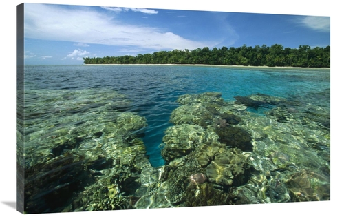 Global Gallery GCS-452342-2436-142 24 x 36 in. Coral Lagoon & Palm Lin