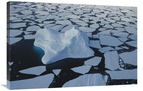 Global Gallery GCS-453428-2436-142 24 x 36 in. Iceberg Drifting Among 