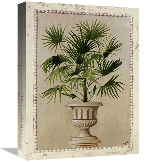 Global Gallery GCS-119597-1216-142 12 x 16 in. Tropical Persuasion II 