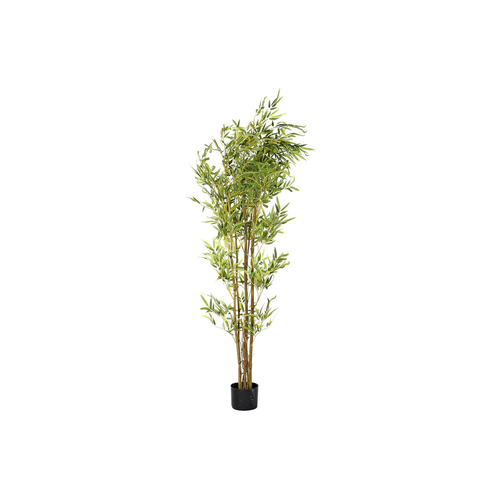 Decorative Plant DKD Home Decor 40 x 40 x 150 cm Polyethylene Green