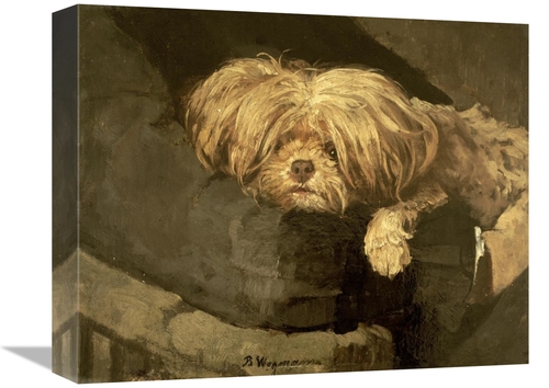 Global Gallery GCS-267564-16-142 16 in. Resting Art Print - Bertha Weg