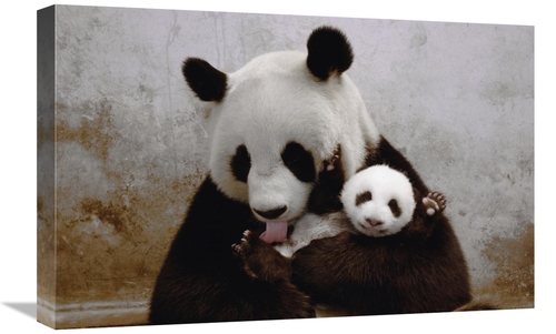 Global Gallery GCS-453019-1624-142 16 x 24 in. Gongzhu & Her Young Cub