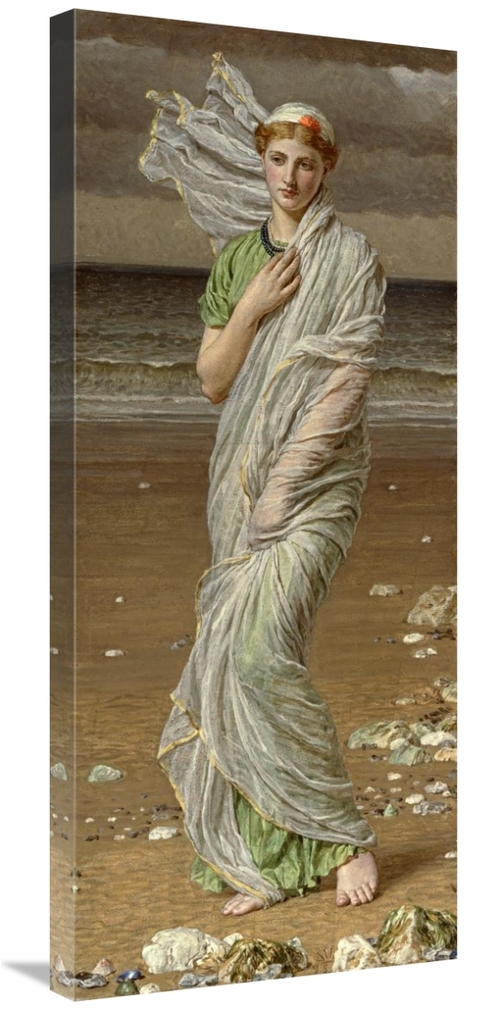 Global Gallery GCS-282560-36-142 36 in. Sea Shells Art Print - Albert 