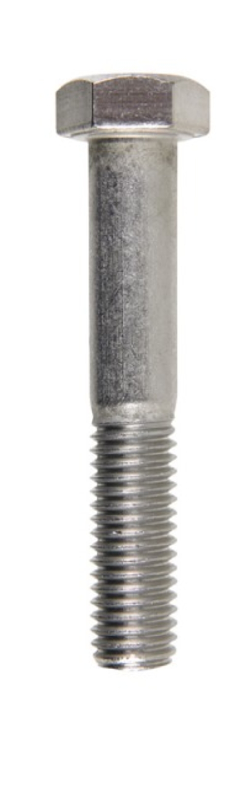 Hillman 831732 0.5 x 3 in. Bolt Hex Head  Stainless Steel