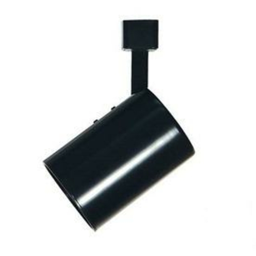 Cal LightingJT-263E48-75-WH Track Head Combian Light 12V Ext48 in. - W