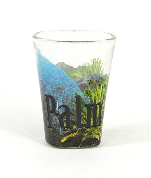 Americaware SGPLM01 Palm Springs Full Color Etched Shot Glass