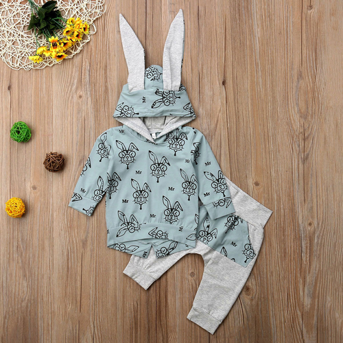 0 2T Baby Hooded Clothes Sets Newborn Kids Baby