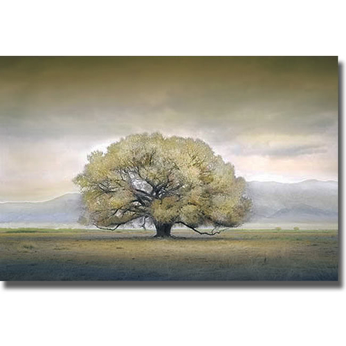 Artistic Home Gallery 2436553S You Knew Me When By William Vanscoy Pre