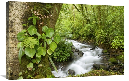 Global Gallery GCS-397324-2436-142 24 x 36 in. Creek Flowing Through R