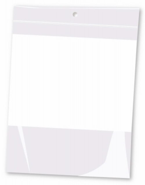 6 x 8 in. 2 Mil Zip Lock Type Plastic Bag with Hang Hole