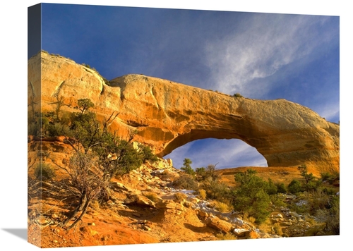 16 x 20 in. Wilson Arch with A Span of 91 ft. & Height of 46 ft., 