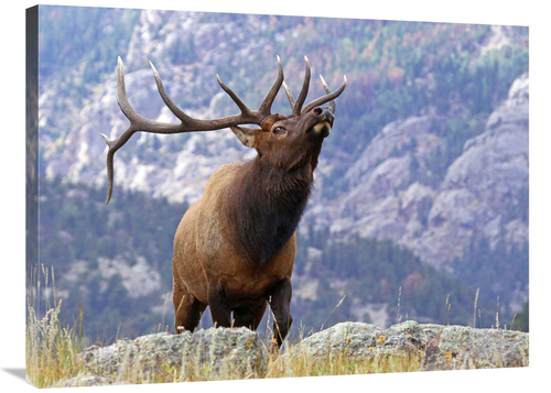 Global Gallery GCS-486490-36-142 36 in. On the Ridgeline Art Print - V