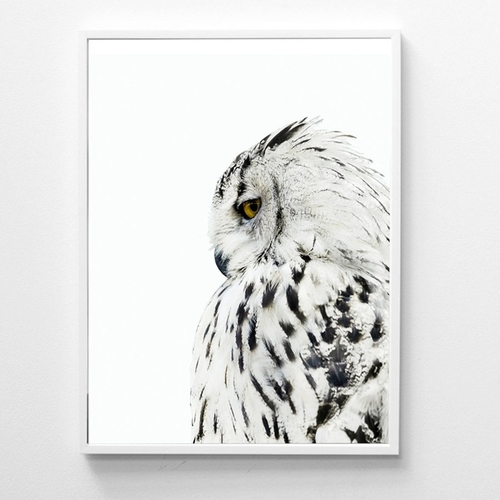 Scandinavian Animal Owl Realistic Painting Canvas