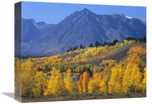 Global Gallery GCS-396894-1216-142 12 x 16 in. Ranger Peak & Aspen For