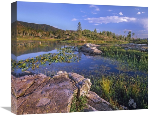 Global Gallery GCS-396127-22-142 22 in. Scout Lake, San Juan Mount