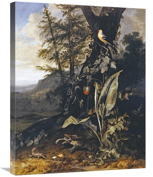 Global Gallery GCS-267578-30-142 30 in. Forest Floor with a Toad & a L