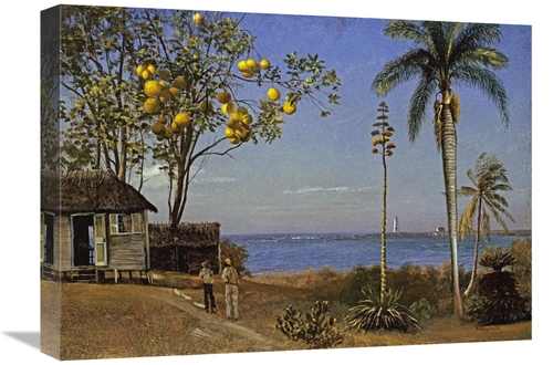 Global Gallery GCS-267733-22-142 22 in. Tropical Scene Art Print - Alb