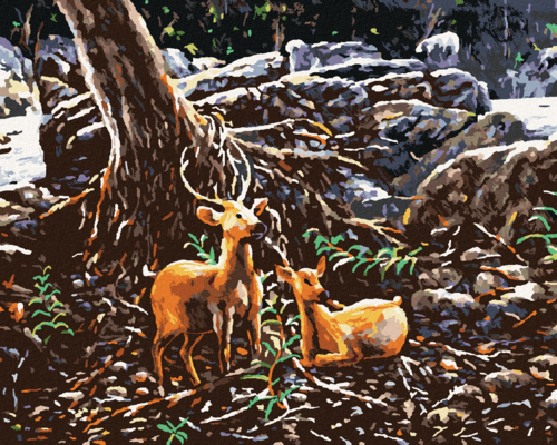 Paint by Numbers - TWO DEER IN THE FOREST