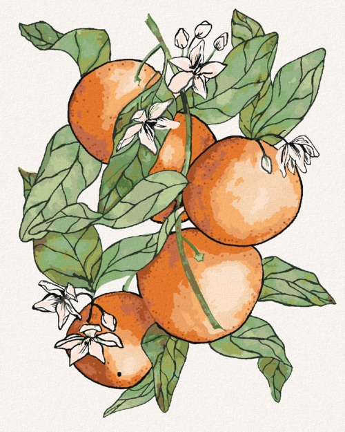 Paint by Numbers - BRANCHES AND ORANGES (ALEXANDRIA GILBERT)