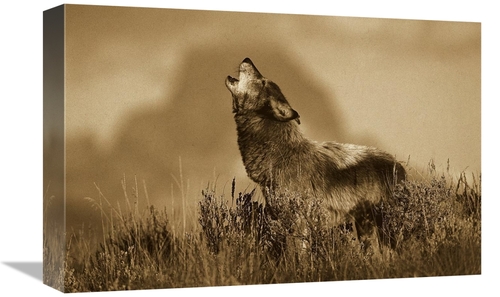 Global Gallery GCS-453722-1218-142 12 x 18 in. Timber Wolf Adult Howli