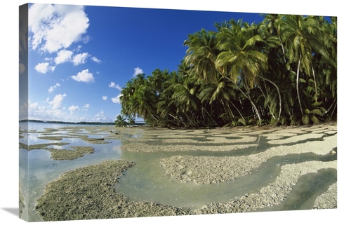 Global Gallery GCS-451673-2030-142 20 x 30 in. Palm Trees & Beach,