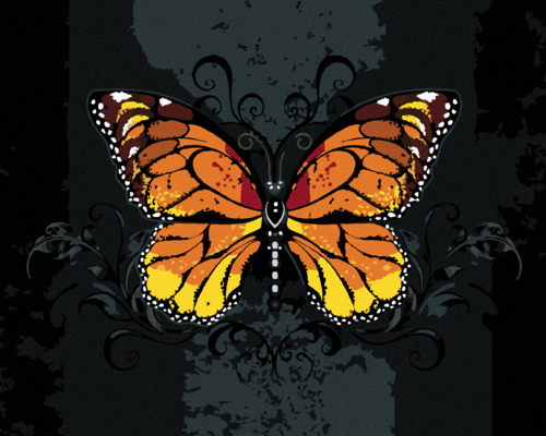 Paint by Numbers - ORANGE BUTTERFLY ON BLACK BACKGROUND