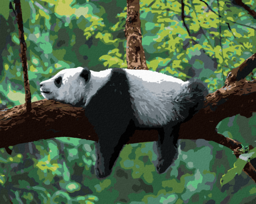 Paint by Numbers - PANDA LYING ON A TREE