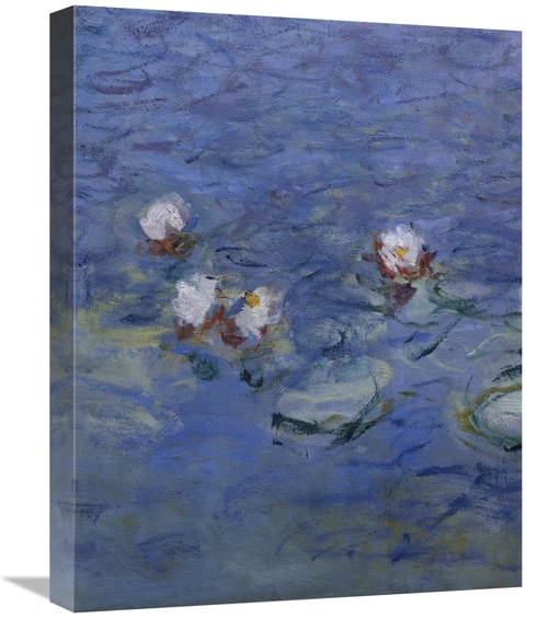 Global Gallery GCS-278728-22-142 22 in. Water Lilies - Detail Art Prin