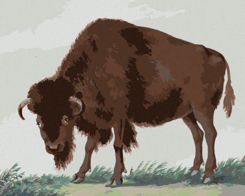 Paint by Numbers - BISON (I. VAN HAASTERT)