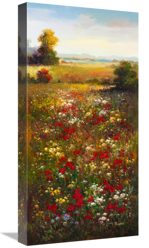 Global Gallery GCS-39431-1224-142 12 x 24 in. Wildflower Meadow II Art