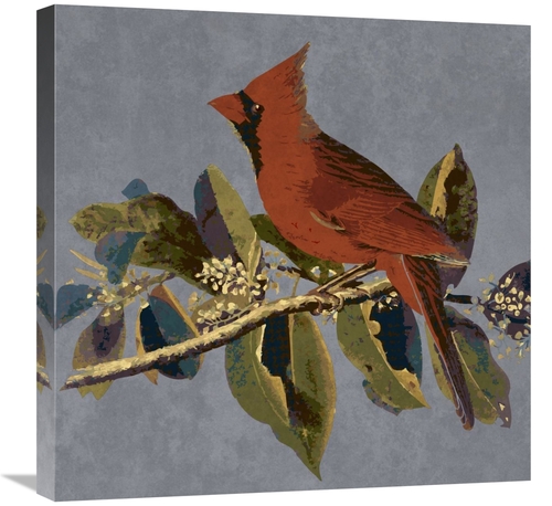 Global Gallery GCS-394159-2424-142 24 x 24 in. Audubon Decor - Male Ca