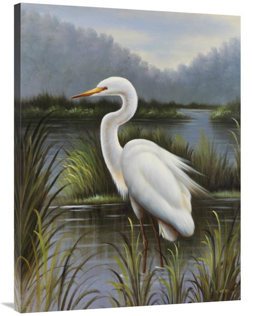 Global Gallery GCS-132465-3040-142 30 x 40 in. Morning Egret Art Print